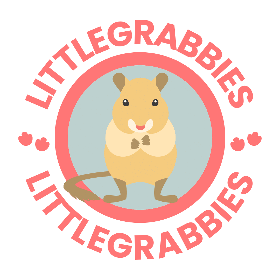 What Are Hybrid Dwarf Hamsters, and Should You Get One? - LittleGrabbies