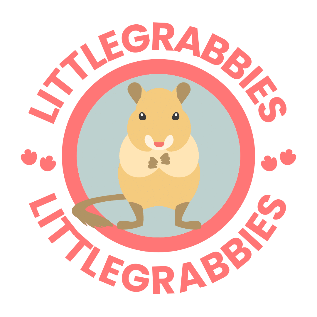 mouse-cage-size-what-size-cage-do-mice-need-littlegrabbies