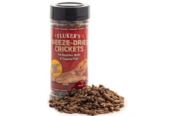 Dried crickets for small pets