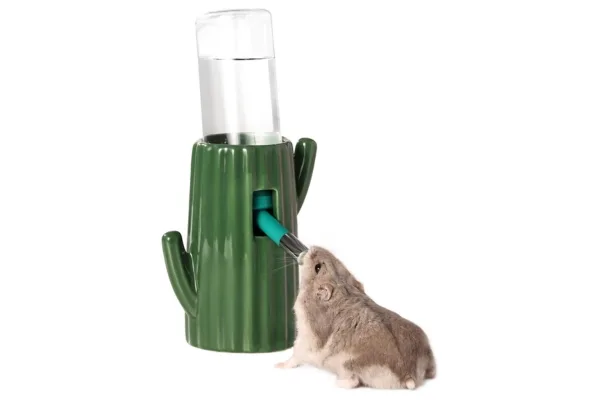 Grey dwarf hamster drinking out of a Bucatstate cactus water bottle