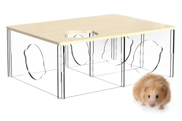 Bucatstate acrylic multi-chamber hide with a long-haired Syrian hamster in front