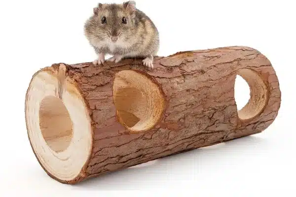 Niteangel wood tunnel hide with dwarf hamster sitting on top