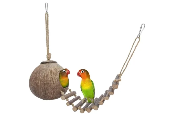 Niteangel hanging coconut hide with a wooden bridge and two colorful birds sitting in the hide and on the bridge