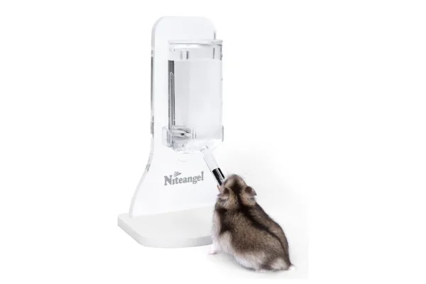 Grey dwarf hamster drinking out of Niteangel water bottle with stand