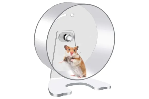 Syrian hamster on a Zacro hamster wheel