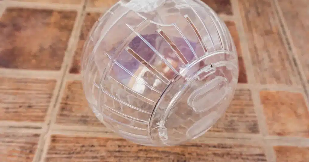 Transparent hamster ball on tile floor