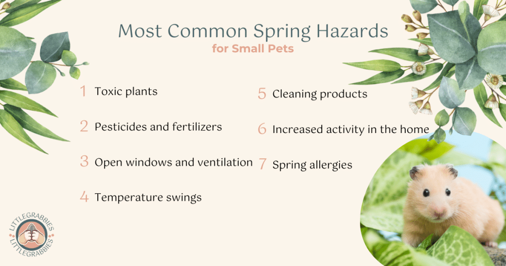 List of the most common spring hazards for small pets with an image of a hamster in green foliage